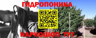 амф Бузулук