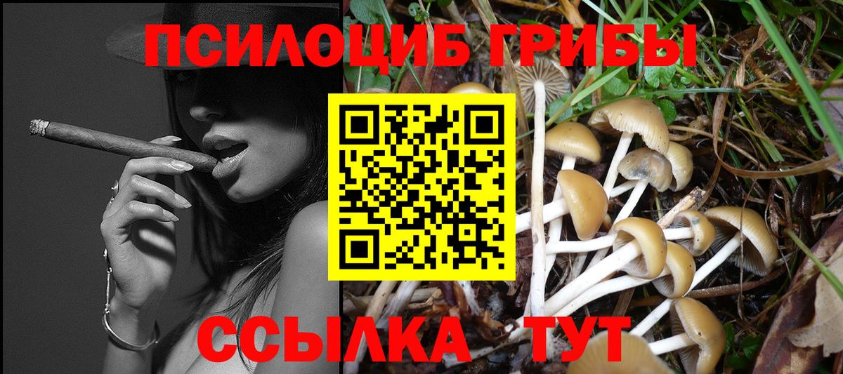 Чернушка  даркнет сайт  Псилоцибиновые грибы Cubensis  Вход с VPN  Галлюциногенные грибы ЛСД 