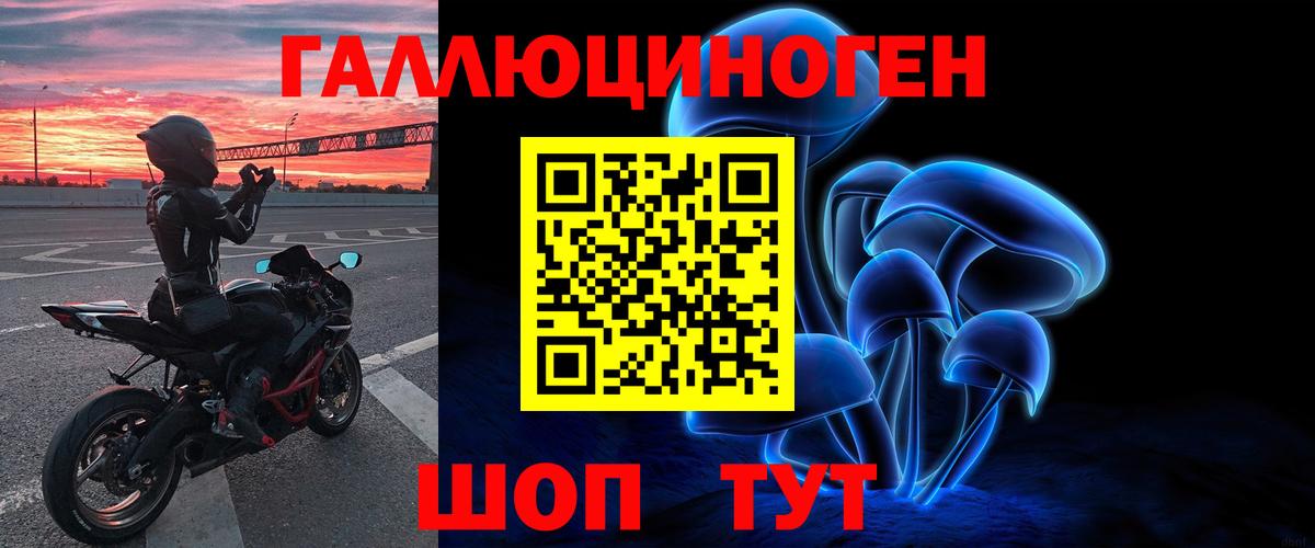 Псилоцибиновые грибы Psilocybine cubensis Чернушка